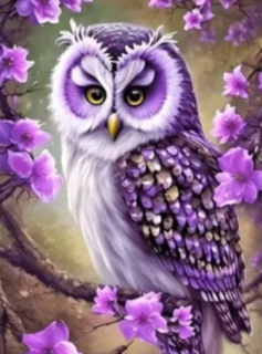 Diamond Painting Eule